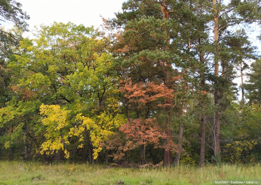 Свидание - прогулка Дженса и Роксаны