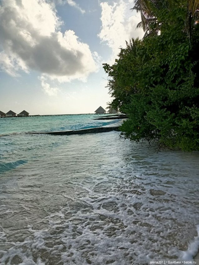 О том, как мы с собачкой стали контрабандистками