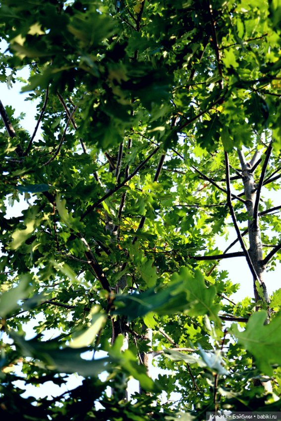 Добрые тыковки — Одежда и обувь для кукол своими руками: фото