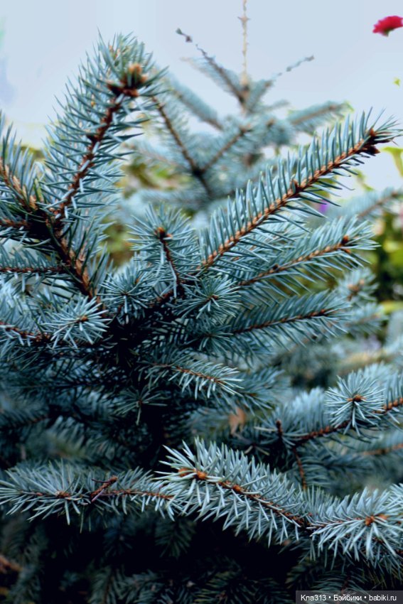 Добрые тыковки — Одежда и обувь для кукол своими руками: фото