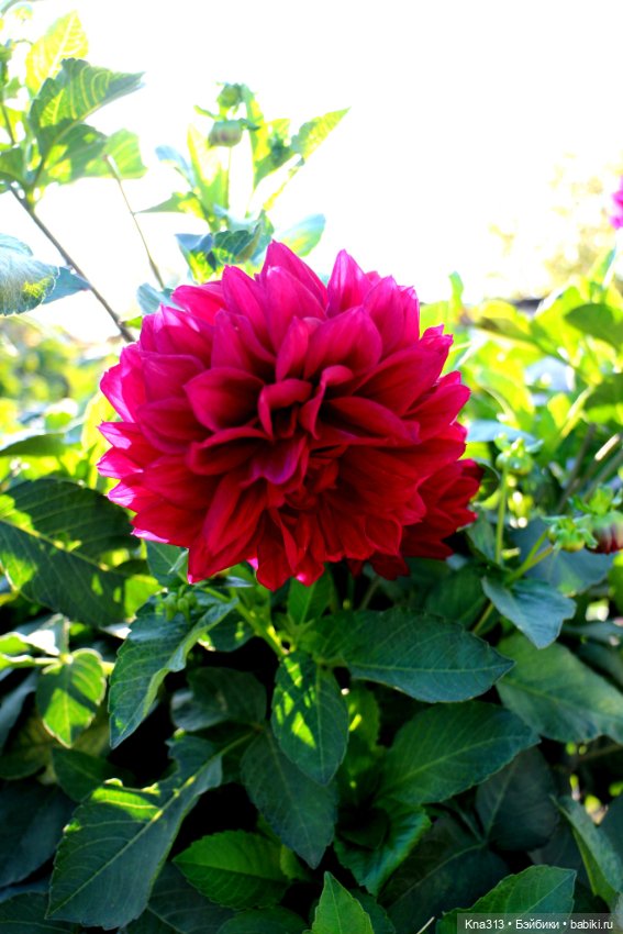 Добрые тыковки — Одежда и обувь для кукол своими руками: фото