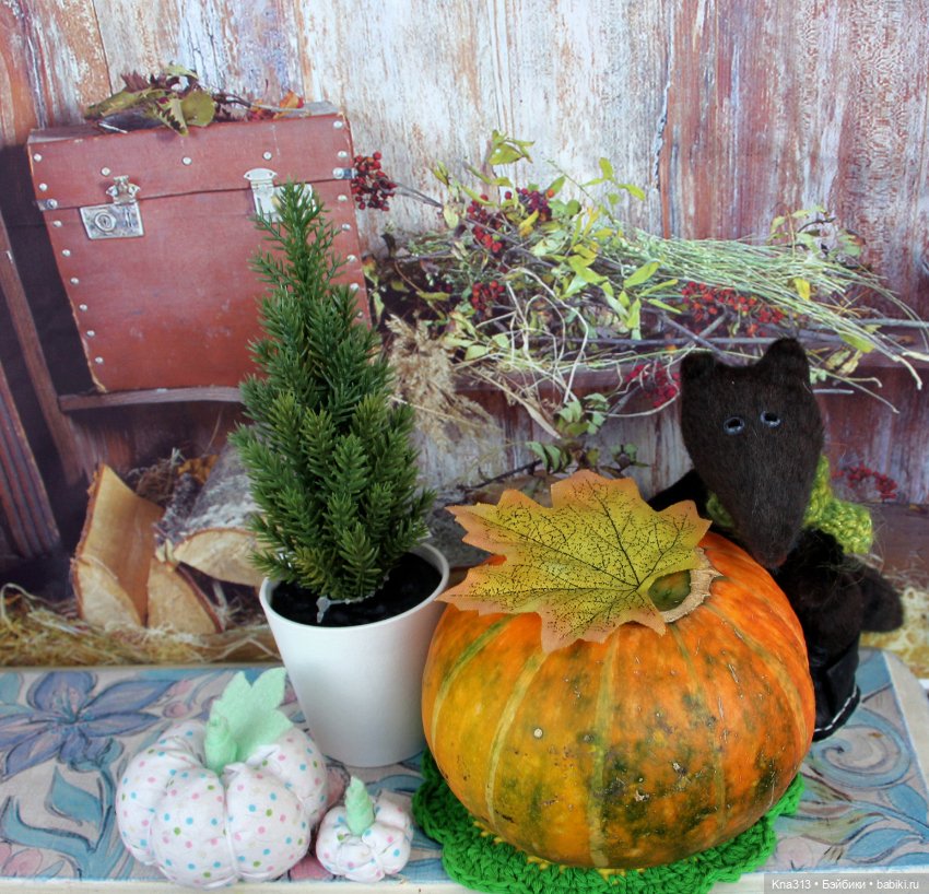 Добрые тыковки — Одежда и обувь для кукол своими руками: фото