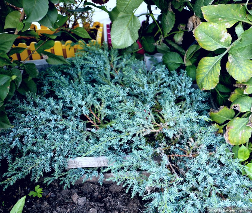 Добрые тыковки — Одежда и обувь для кукол своими руками: фото