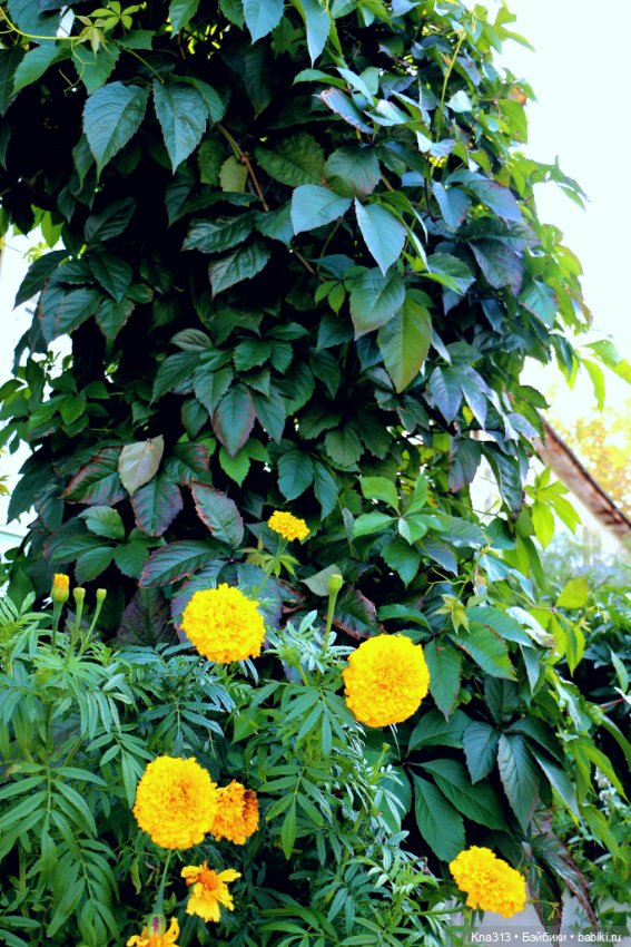 Добрые тыковки — Одежда и обувь для кукол своими руками: фото