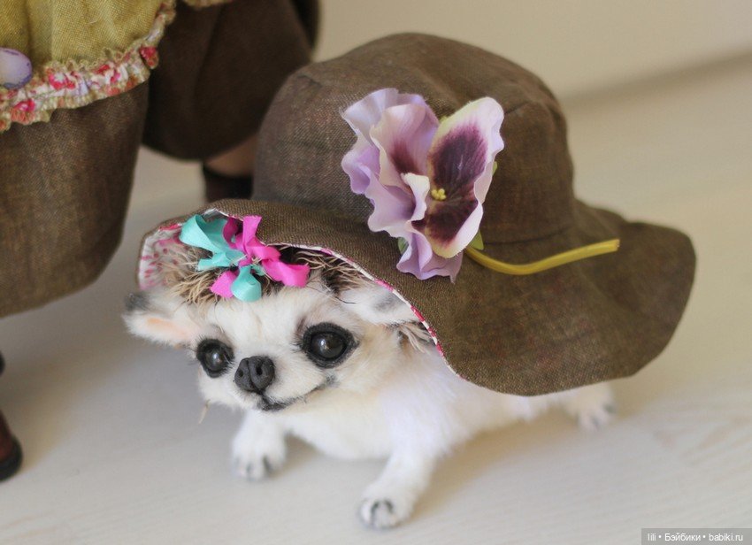 Akkelin от Zwergnase — Куклы Zwergnase (Цвергназе/Цверги): фото