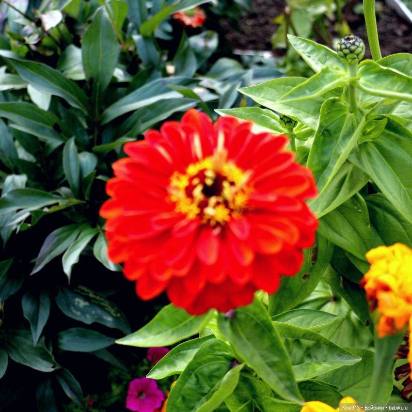 Добрые тыковки — Одежда и обувь для кукол своими руками: фото