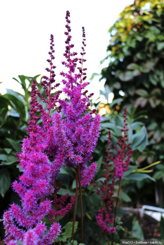 Добрые тыковки — Одежда и обувь для кукол своими руками: фото