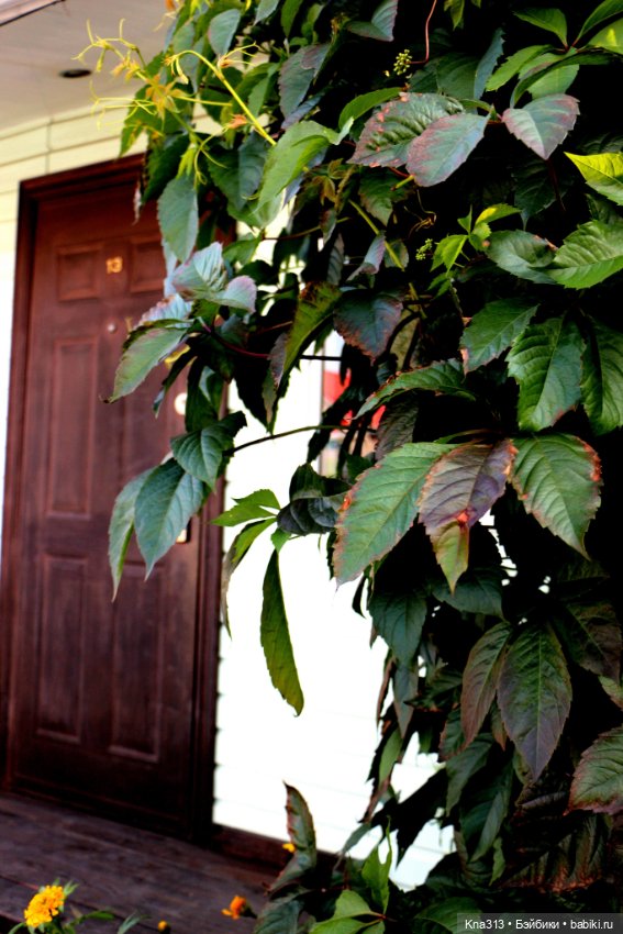 Добрые тыковки — Одежда и обувь для кукол своими руками: фото (фото 5)