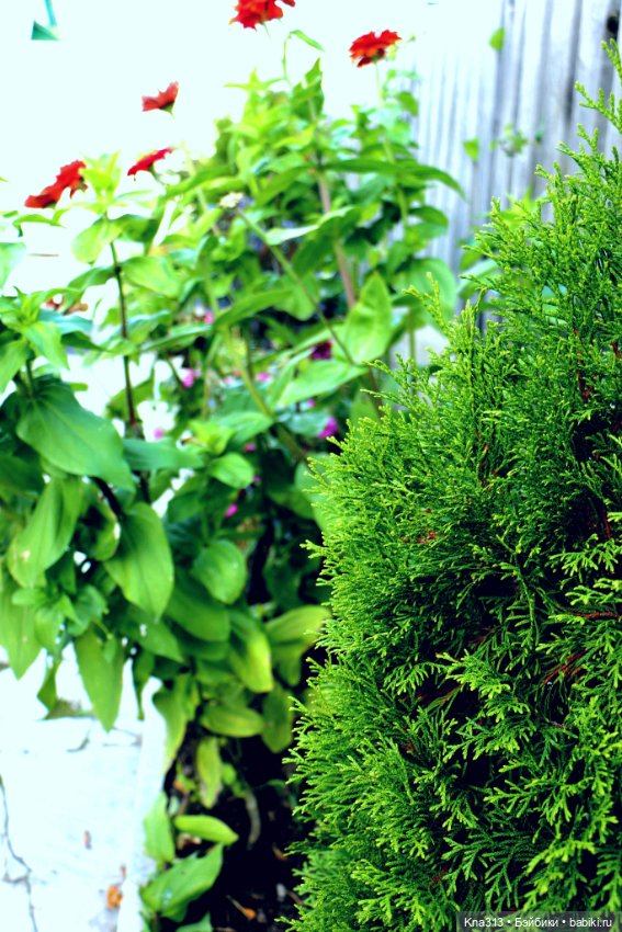 Добрые тыковки — Одежда и обувь для кукол своими руками: фото