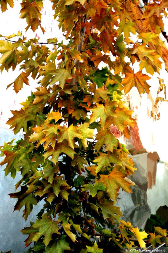 Добрые тыковки — Одежда и обувь для кукол своими руками: фото (фото 8)