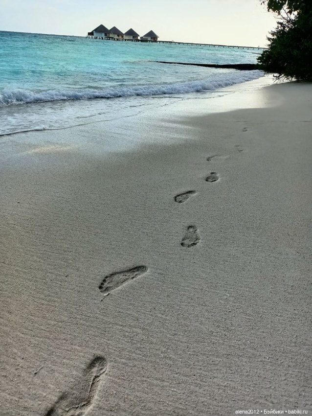 О том, как мы с собачкой стали контрабандистками