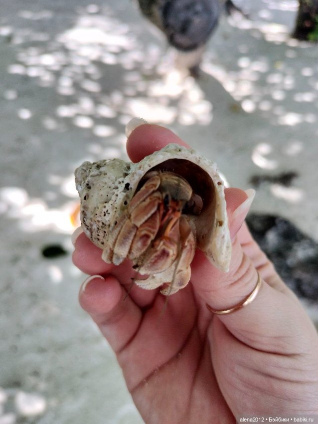 О том, как мы с собачкой стали контрабандистками