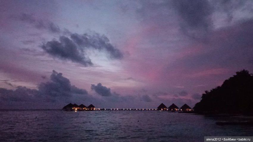 О том, как мы с собачкой стали контрабандистками