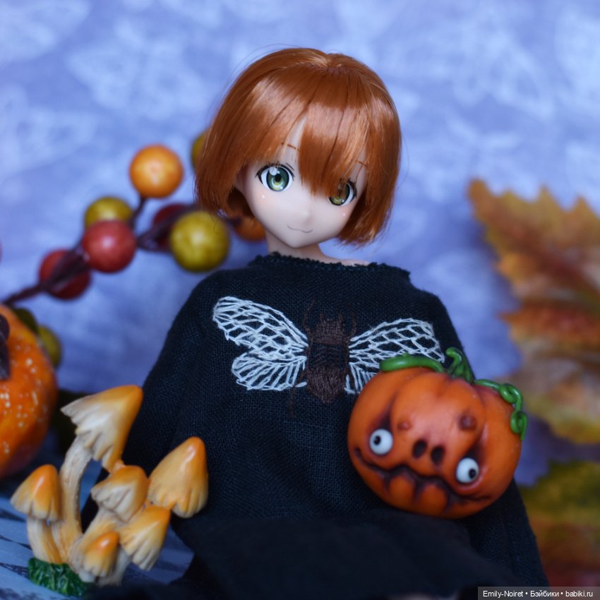 Аниме куклы (MJD/Винил): Imomo (фото 6)