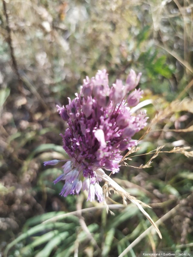 Дорога на Большой Тау. Пятигорье (фото 8)