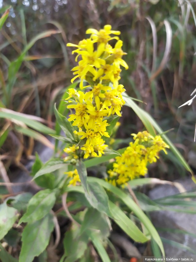 Дорога на Большой Тау. Пятигорье