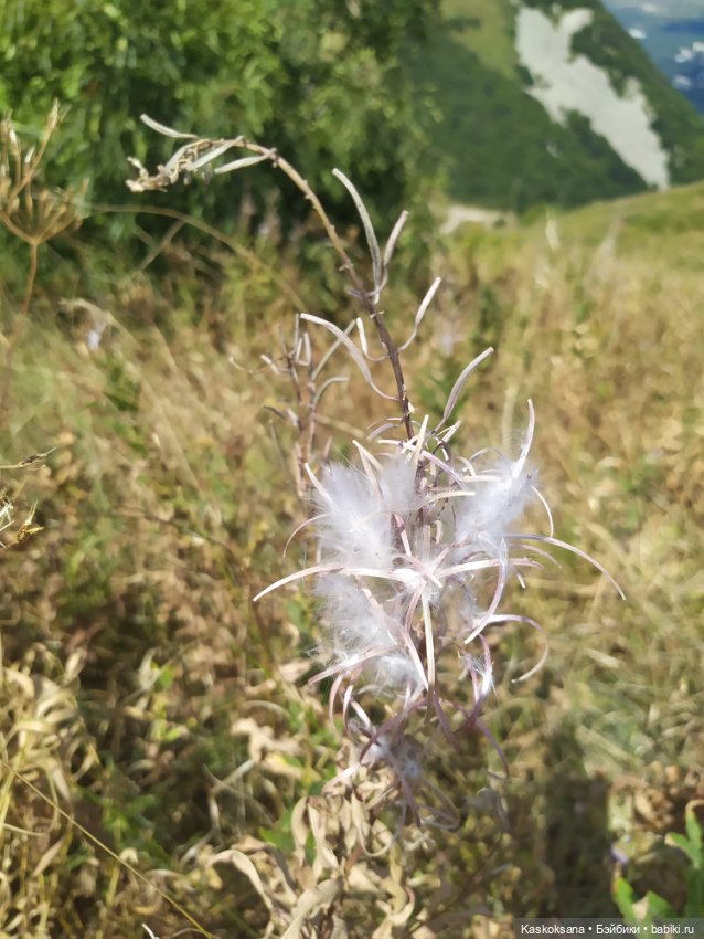 Дорога на Большой Тау. Пятигорье (фото 7)