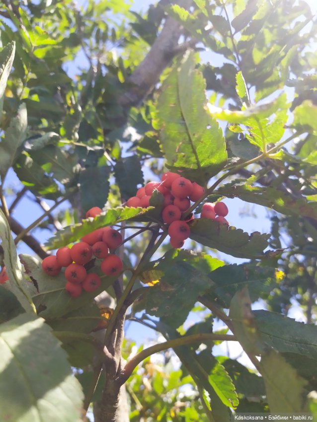 Дорога на Большой Тау. Пятигорье