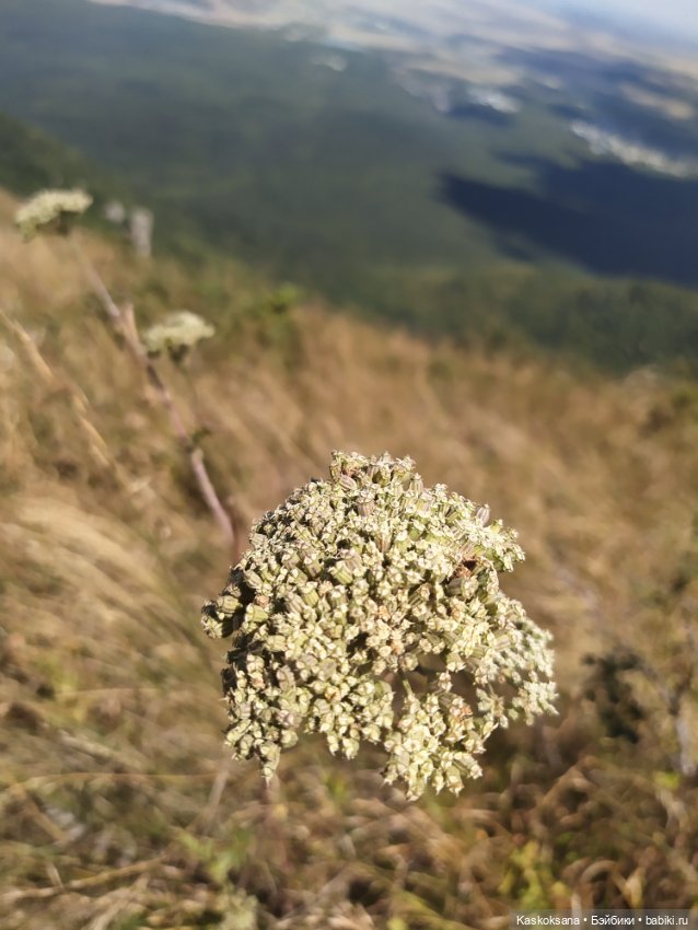 Дорога на Большой Тау. Пятигорье