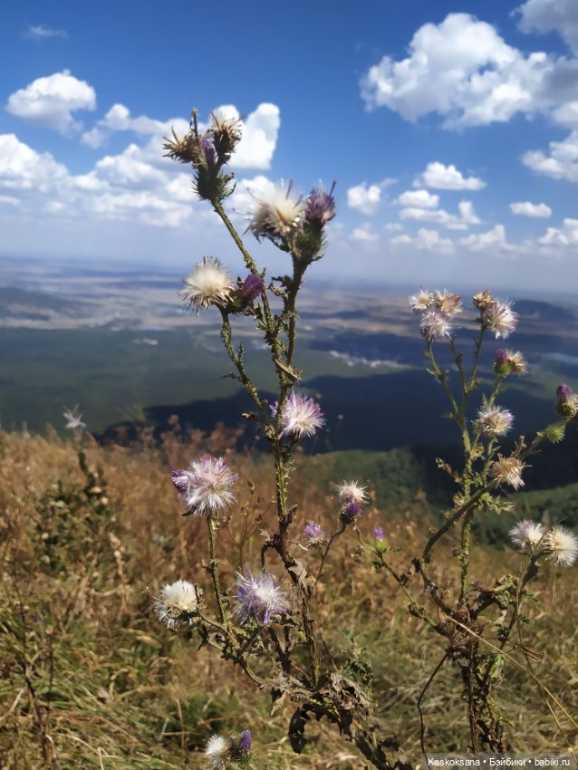 Дорога на Большой Тау. Пятигорье