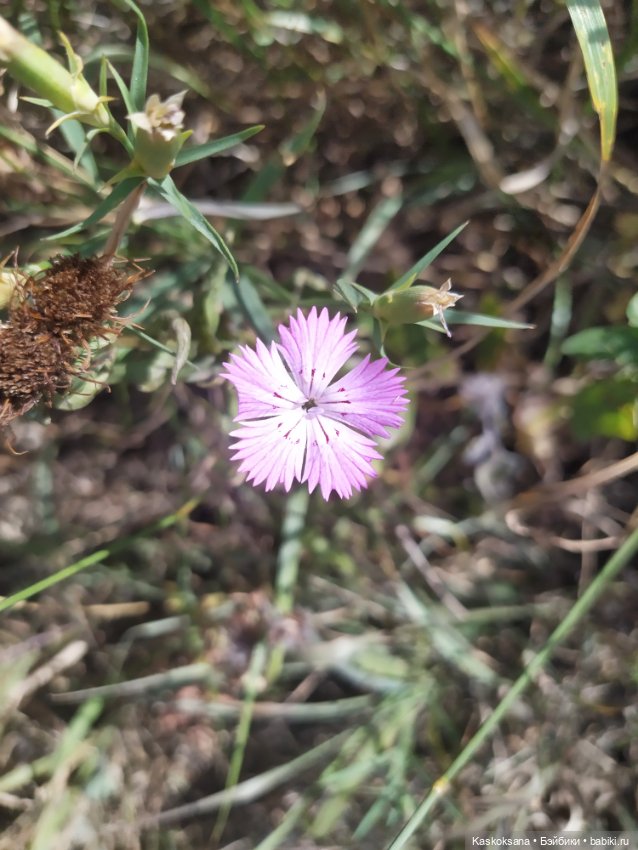 Дорога на Большой Тау. Пятигорье