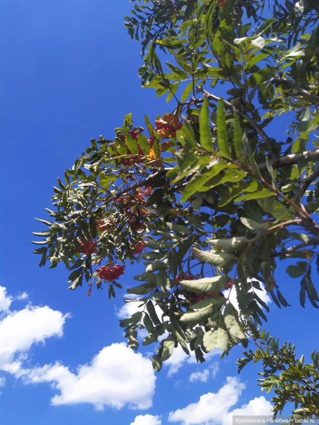 Дорога на Большой Тау. Пятигорье