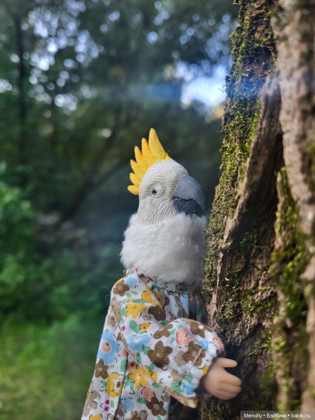 Полинкина Москва — Домашние фото авторских кукол: личные коллекции