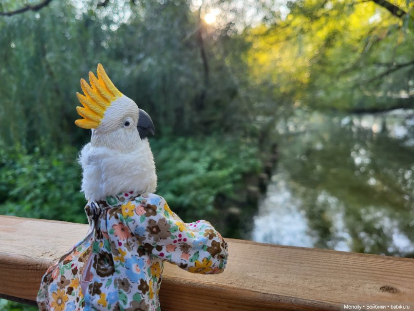 Полинкина Москва — Домашние фото авторских кукол: личные коллекции (фото 3)