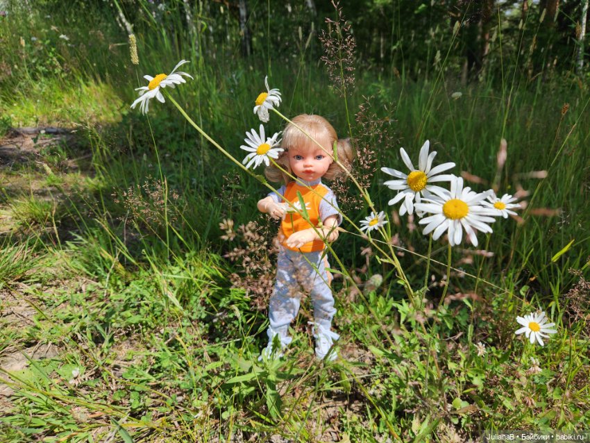 Как мы тень на плетень наводили (фото 8)