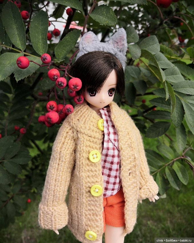 Мальчик - котик Azone — Куклы Azone (Азон) и тела Pure Neemo: фото (фото 5)
