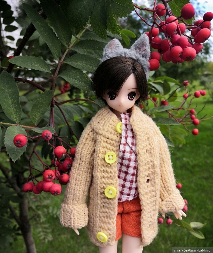 Мальчик - котик Azone — Куклы Azone (Азон) и тела Pure Neemo: фото (фото 4)
