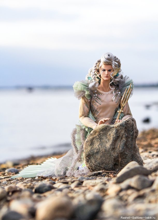 Морской царь греется на солнышке (фото 2)