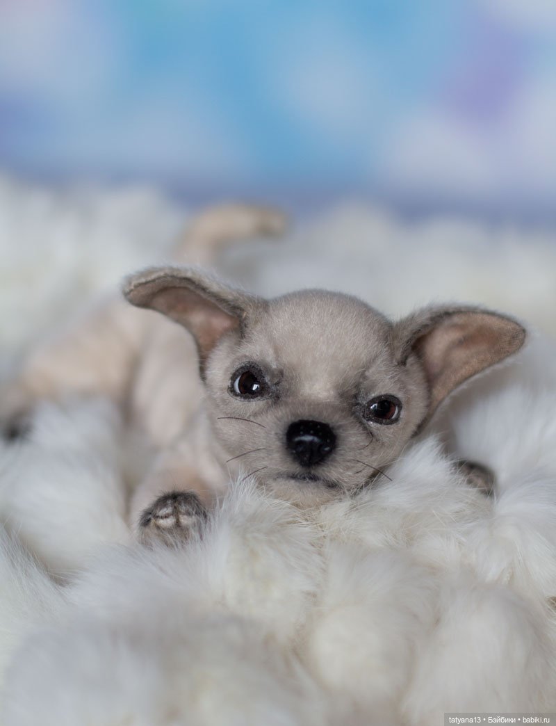 Немножко о собачках — Текстильные игрушки и примитивы: кофейные (фото 10)