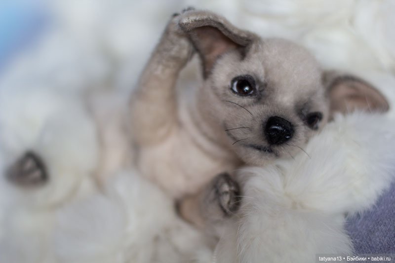 Немножко о собачках — Текстильные игрушки и примитивы: кофейные