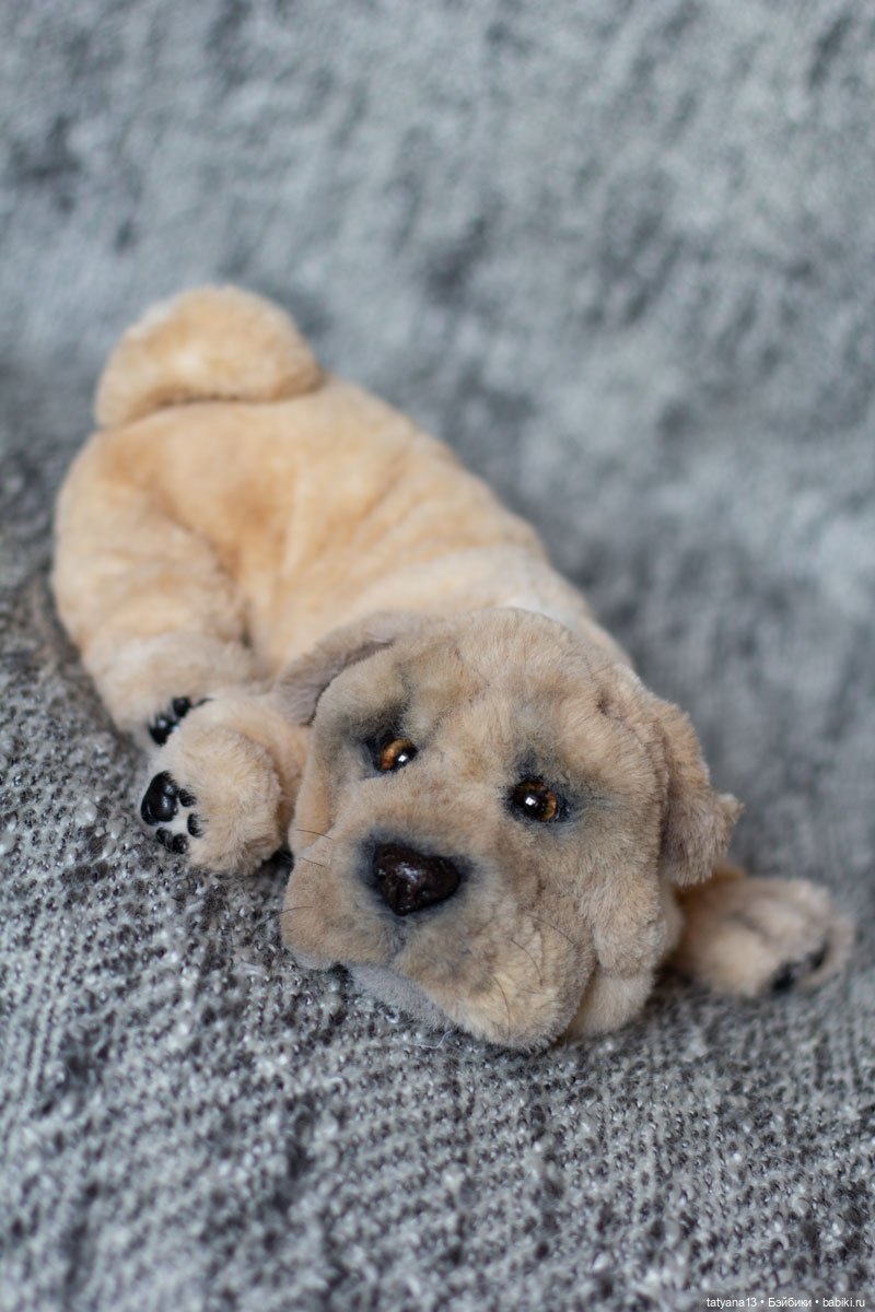 Немножко о собачках — Текстильные игрушки и примитивы: кофейные