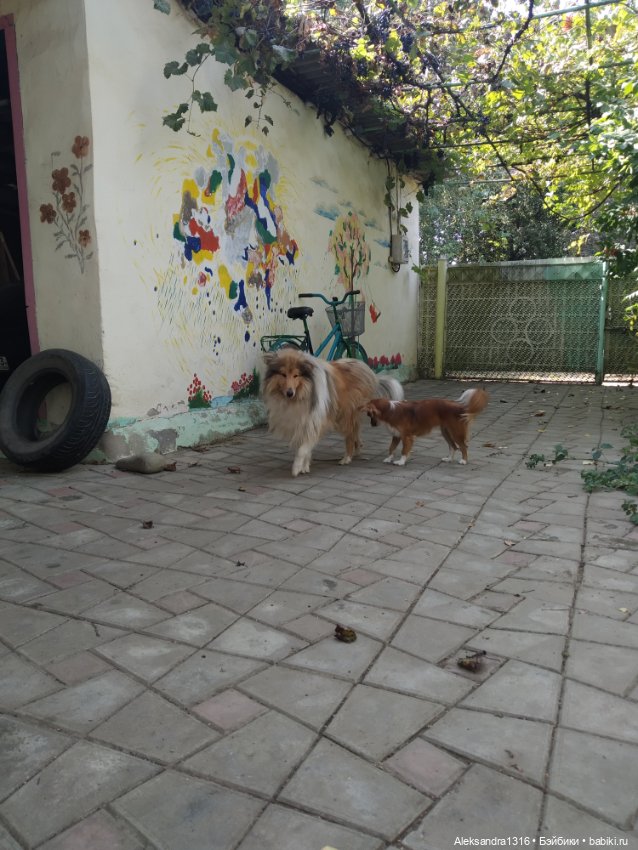 Осень🍁 — Российские куклы Весна