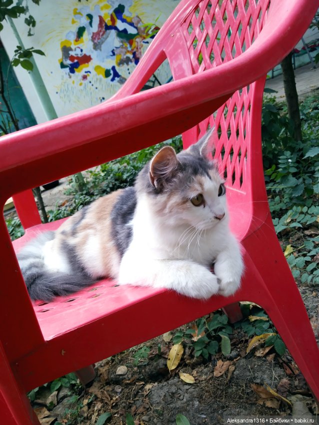 Осень🍁 — Российские куклы Весна