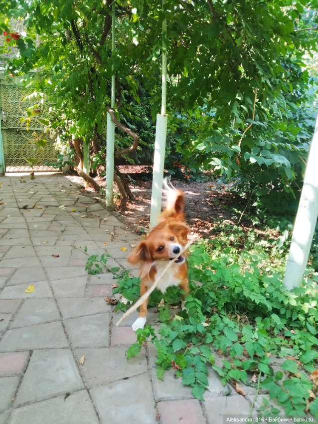 Осень🍁 — Российские куклы Весна