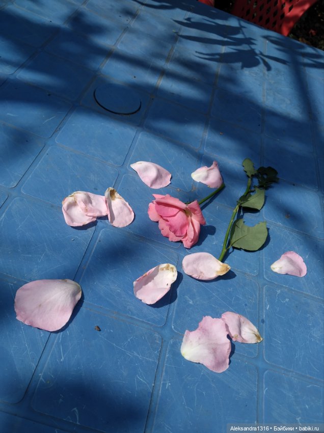 Осень🍁 — Российские куклы Весна