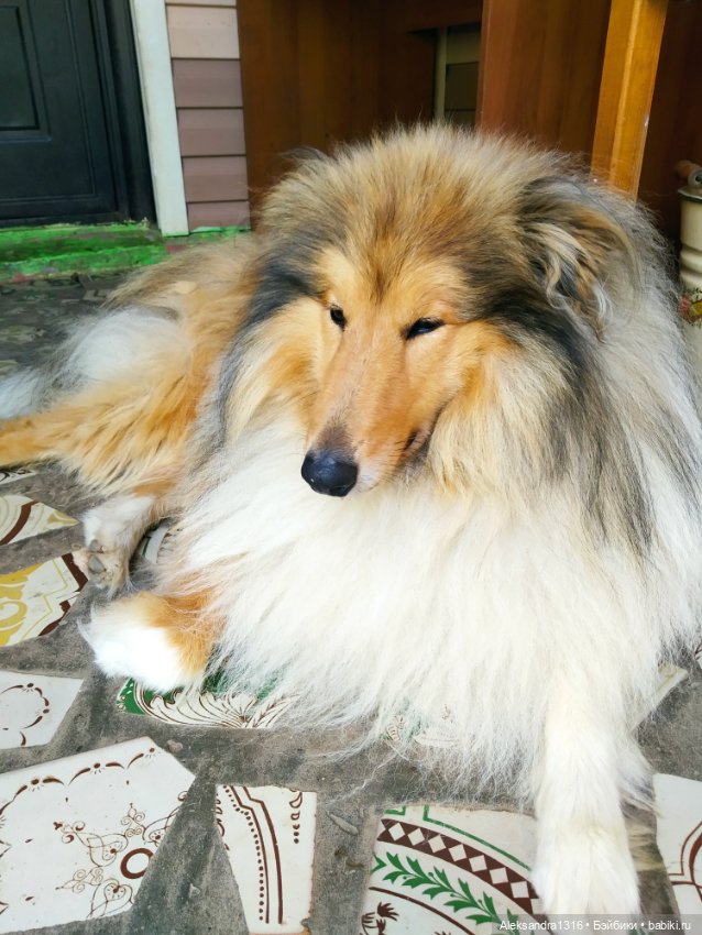 Осень🍁 — Российские куклы Весна