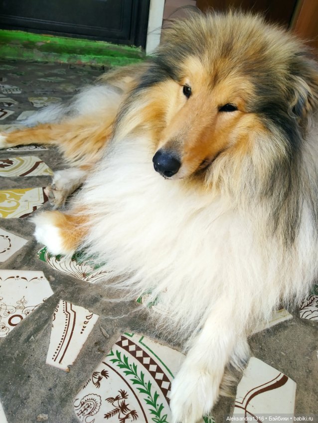 Осень🍁 — Российские куклы Весна