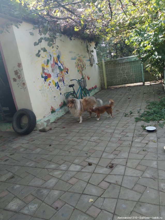 Осень🍁 — Российские куклы Весна