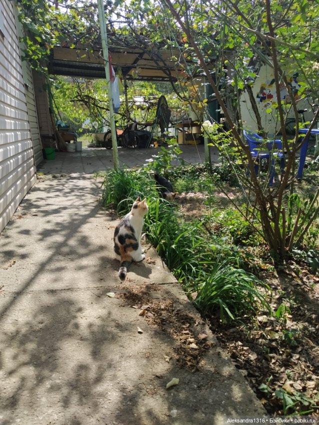 Осень🍁 — Российские куклы Весна