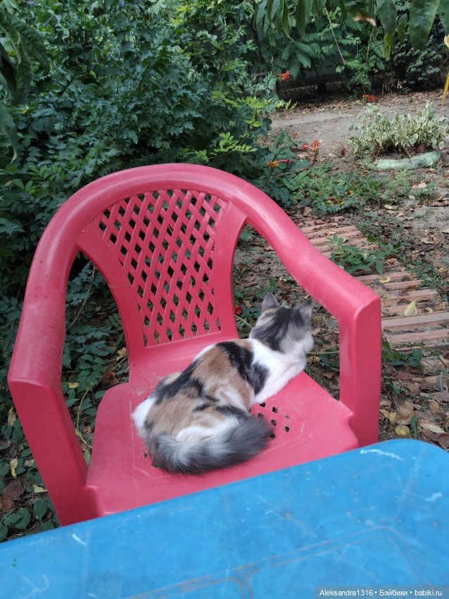 Осень🍁 — Российские куклы Весна