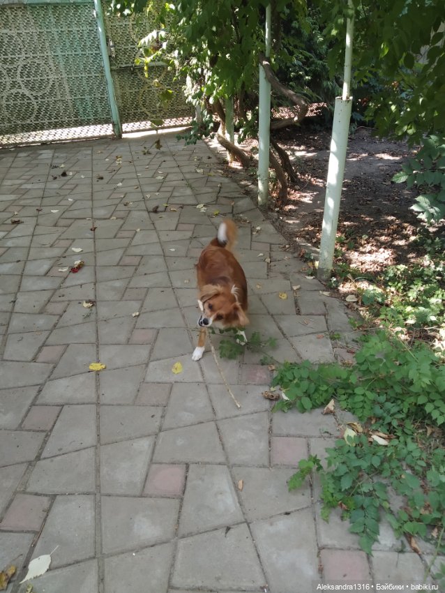 Осень🍁 — Российские куклы Весна