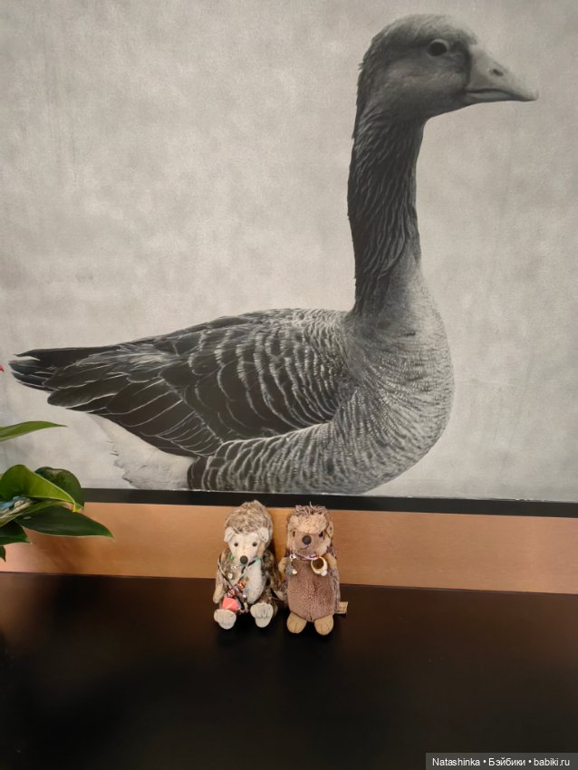 Музыкальная, История 45 — Туризм и путешествия: фотоотчеты из поездок (фото 6)