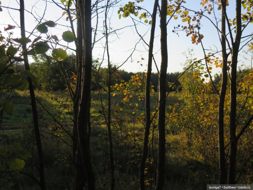 Mini Paola — Успеть в лето