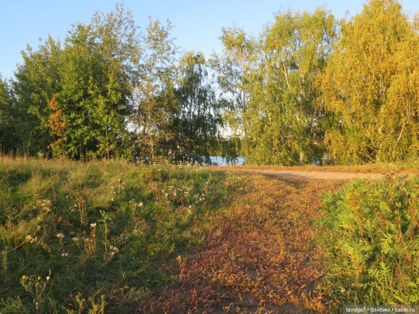 Mini Paola — Успеть в лето