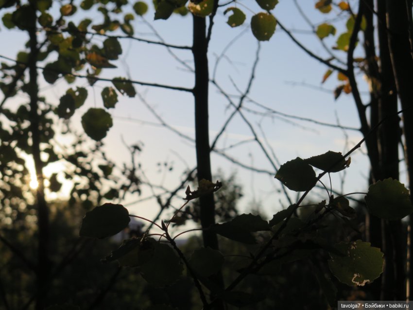 Mini Paola — Успеть в лето