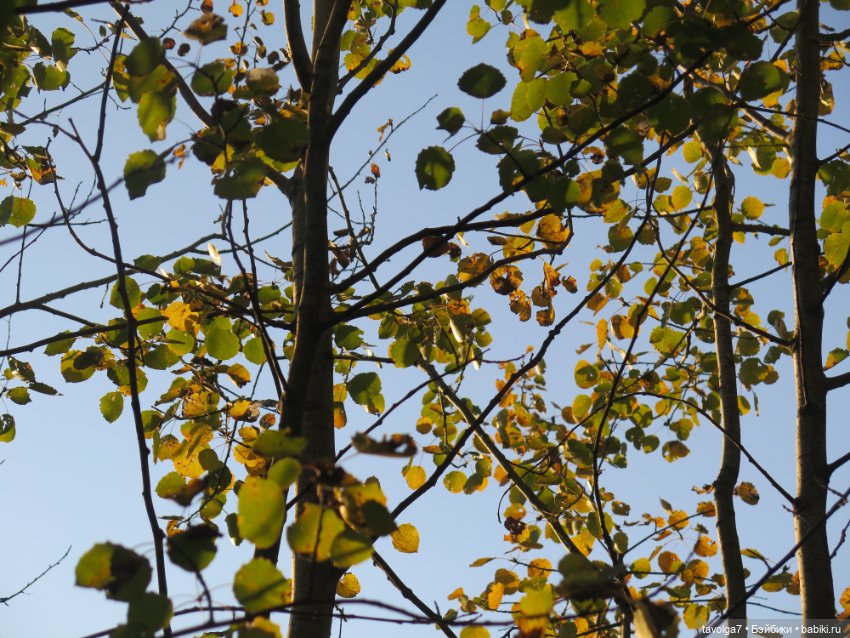 Mini Paola — Успеть в лето